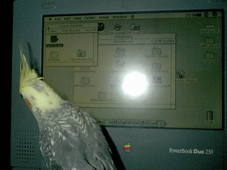 PowerBook Duo 230 i moja papuga
